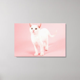 Lienzo Gato blanco joven 2
