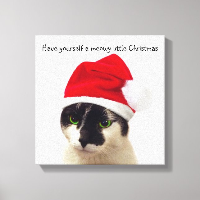 Lienzo Gato con el Gorra de Santa (Anverso)