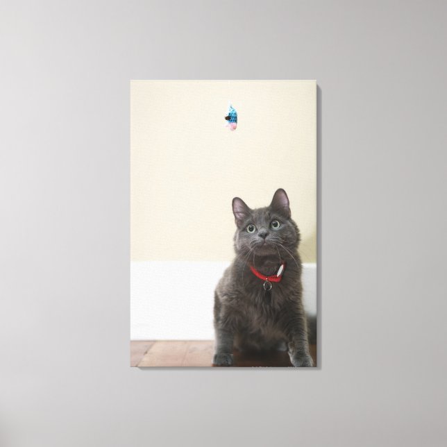 Lienzo Gato con juguete (Anverso)