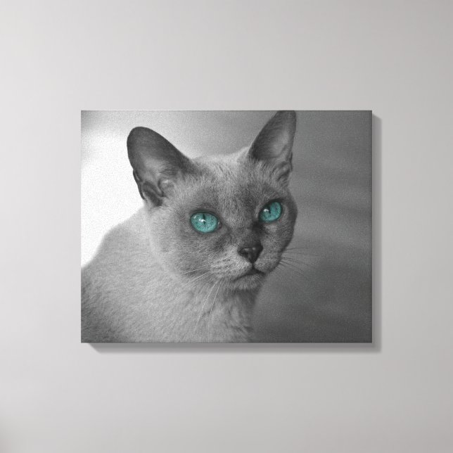 Lienzo Gato con ojos azules (Anverso)