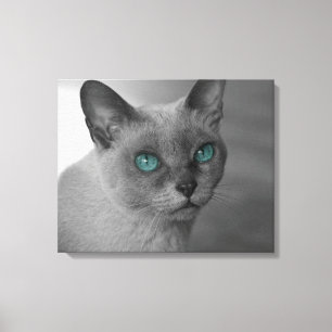 Lienzo Gato con ojos azules