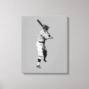 Lienzo Gato de béisbol