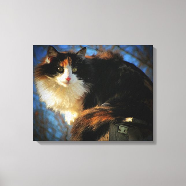 Lienzo Gato de Calico en el viento (Anverso)