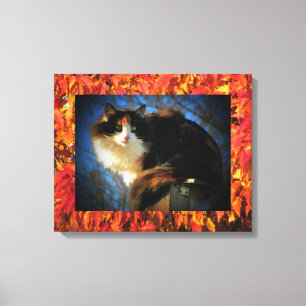 Lienzo Gato de Calico en otoño