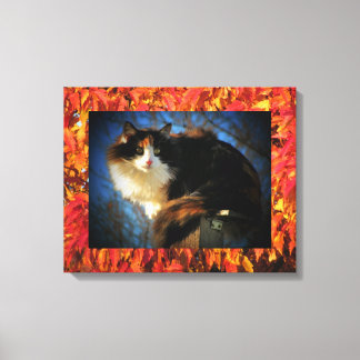 Lienzo Gato de Calico en otoño