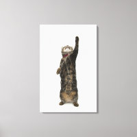 Gato de tabique doméstico parado en dos piernas qu