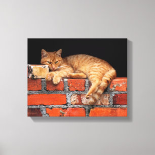 Lienzo Gato en la pared de ladrillo