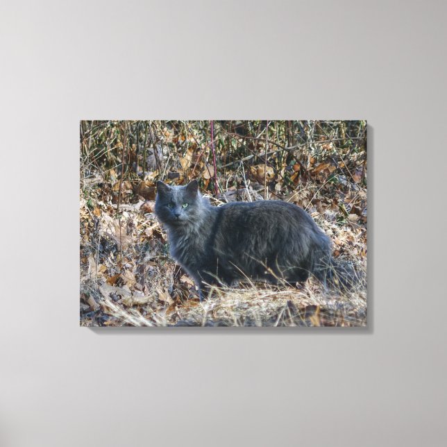 Lienzo Gato en los bosques (Anverso)