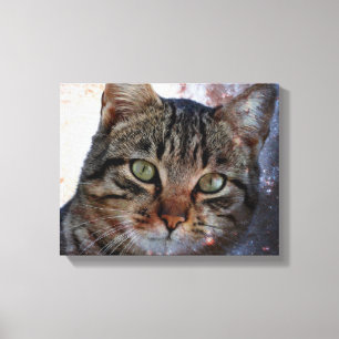 Lienzo Gato espacial