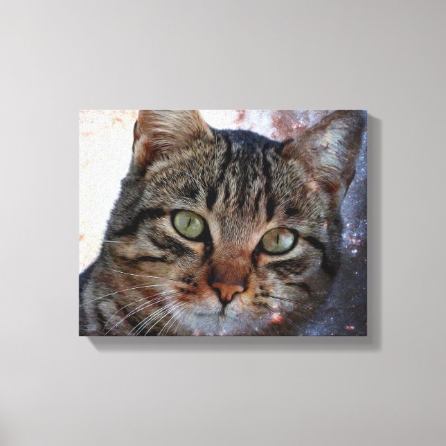 Lienzo Gato espacial (Anverso)