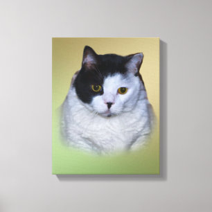 Lienzo Gato gordo blanco y negro