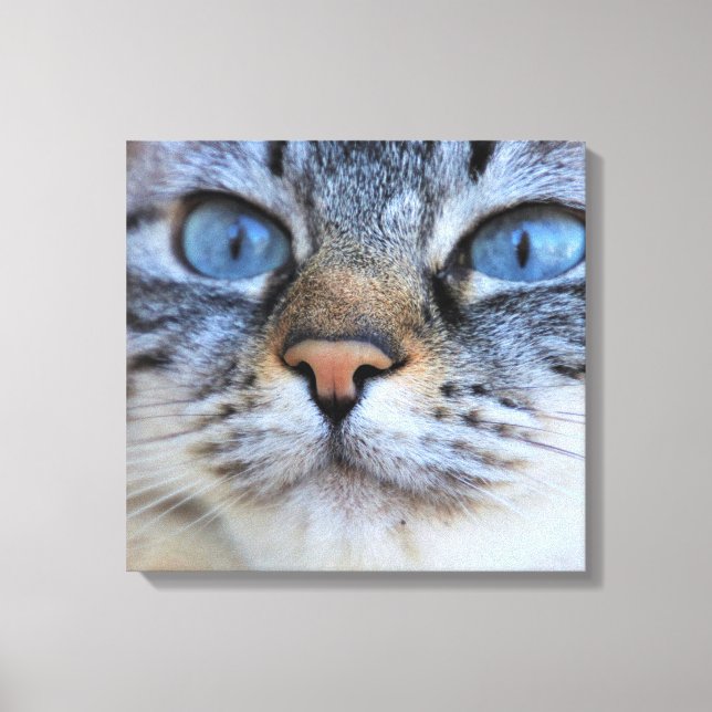 Lienzo Gato gris (Anverso)