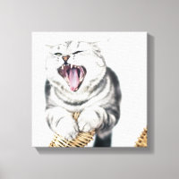 gato gris sobre fondo blanco