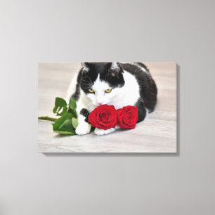 Lienzo Gato lindo con la rosa roja