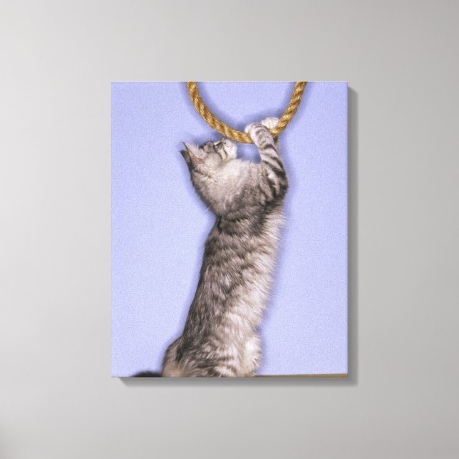 Lienzo Gato llegando a la cuerda (Anverso)