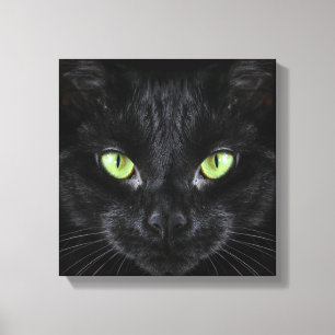 Lienzo Gato negro con ojos verdes