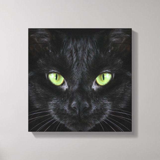 Lienzo Gato negro con ojos verdes (Anverso)