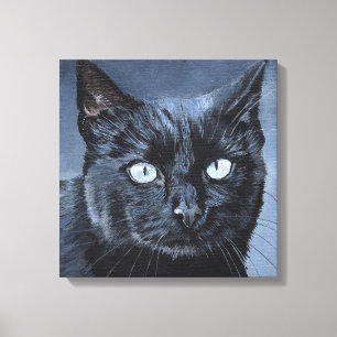 Lienzo Gato negro de ojos azules sobre azul oscuro