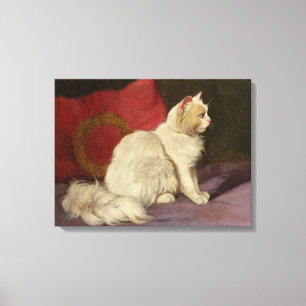 Lienzo Gato persa blanco
