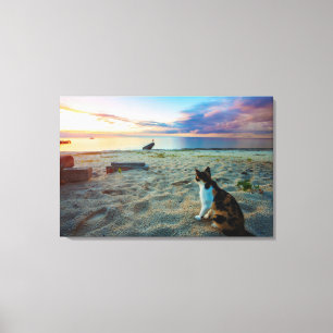 Lienzo Gato Sentado En Una Playa