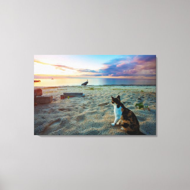Lienzo Gato Sentado En Una Playa (Anverso)