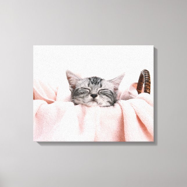 Lienzo Gato Shorthair americano (Anverso)