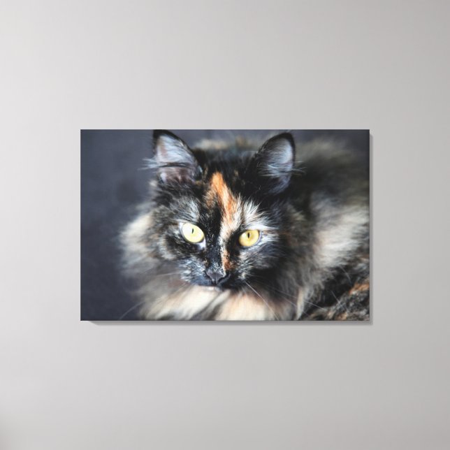 Lienzo Gato siberiano (Anverso)