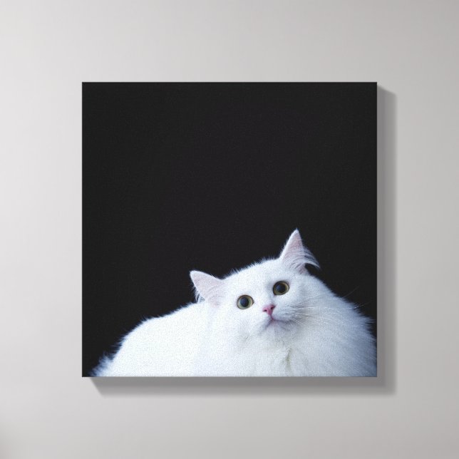 Lienzo Gato siberiano (Anverso)