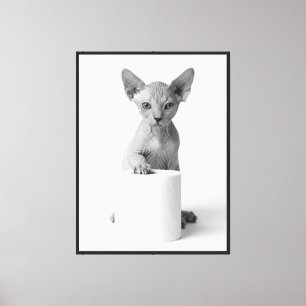 Lienzo Gato Sphynx Estético y Juguetón Custodiando Papel 