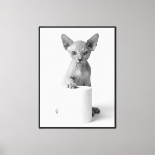 Lienzo Gato Sphynx Juguetón Custodiando Papel Higiénico E