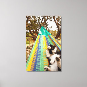 Lienzo Gato tendido en hamaca maya mexicana