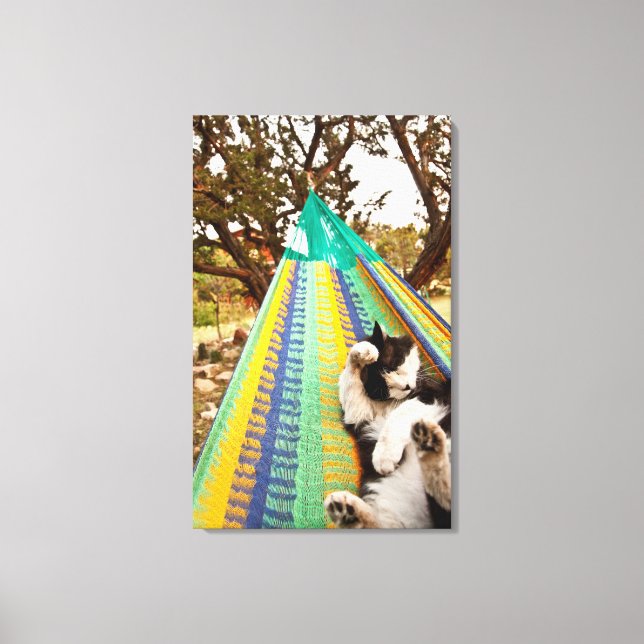 Lienzo Gato tendido en hamaca maya mexicana (Anverso)