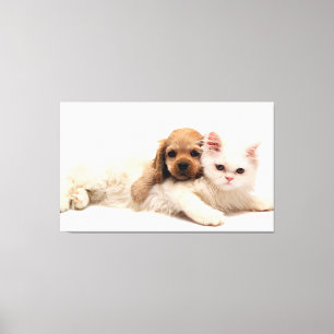 Lienzo Gato y cachorro