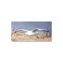 Gaviota en vuelo 