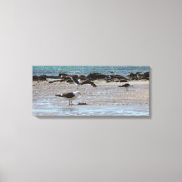 Lienzo Gaviotas en la orilla del mar