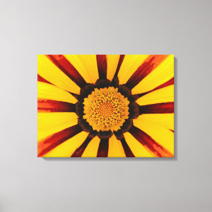 Lienzo Gazania