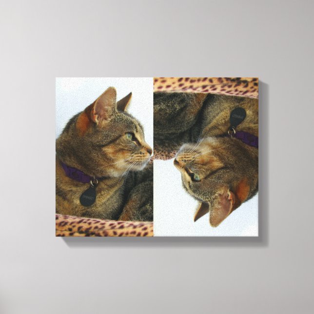 Lienzo Gazing Indigo (Anverso)