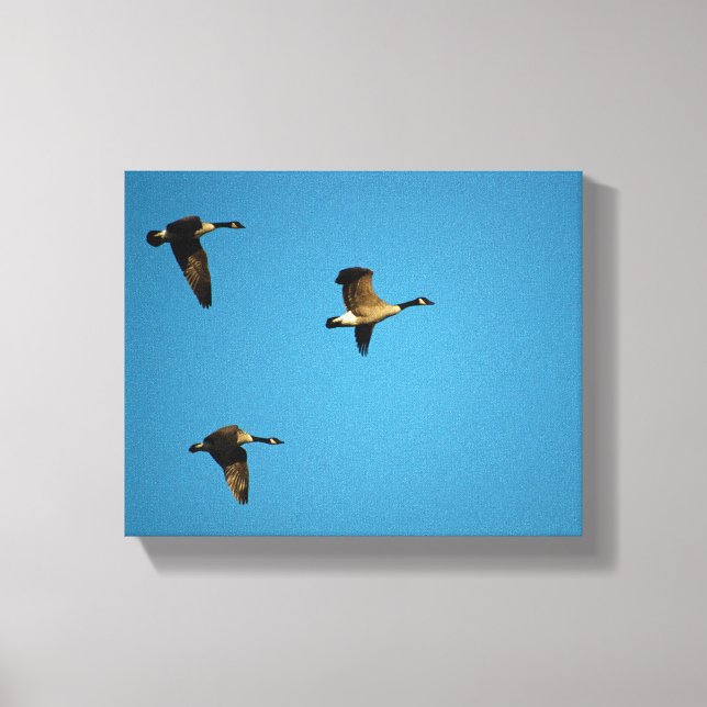 Lienzo Géanos canadienses en vuelo (Anverso)