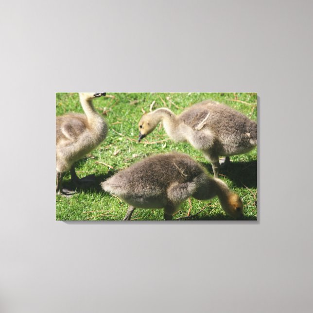 Lienzo Geese en la hierba (Anverso)