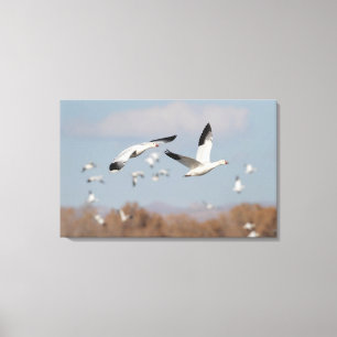 Lienzo Geese en los cielos de Bosque