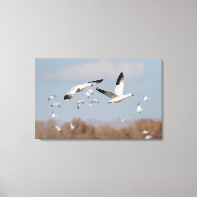 Lienzo Geese en los cielos de Bosque (Anverso)