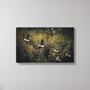 Lienzo Geese en vuelo 14" x 11", 1,5", sencillo