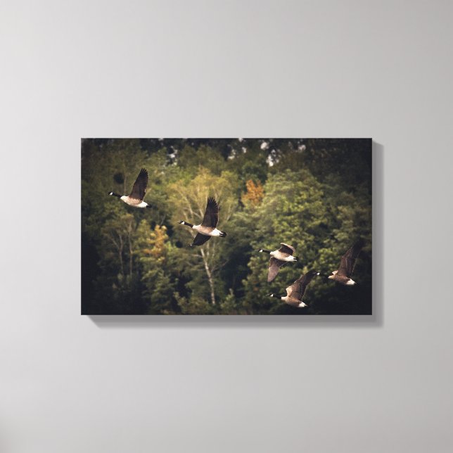 Lienzo Geese en vuelo 14" x 11", 1,5", sencillo (Anverso)