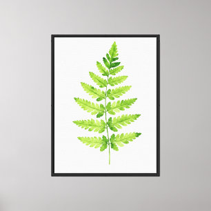 Lienzo Género Dryopteris