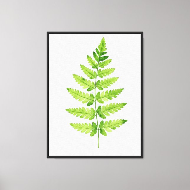 Lienzo Género Dryopteris (Anverso)