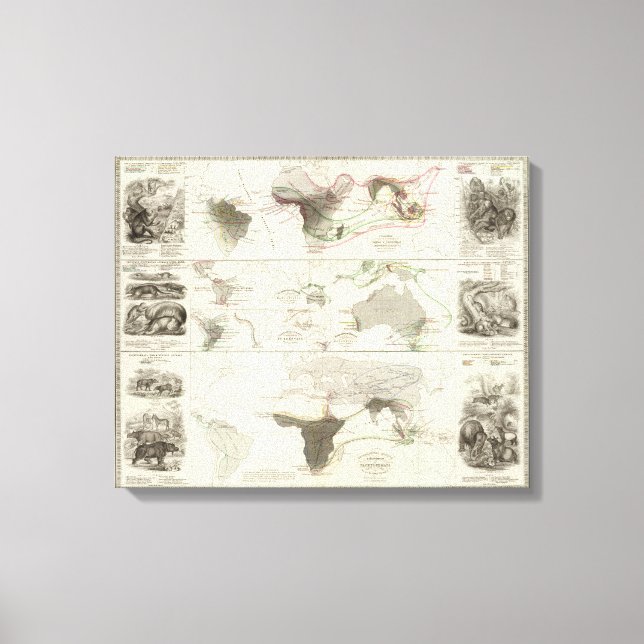 Lienzo Geografía zoológica (Anverso)