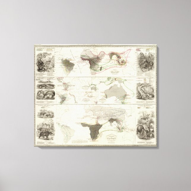 Lienzo Geografía zoológica (Anverso)