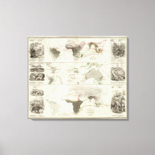 Lienzo Geografía zoológica