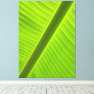 Lienzo Geometría Natural en Fotografía Verde Iluminada po