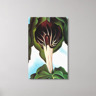 Lienzo Georgia O'Keeffe - Jack-in-the-Pulpit III